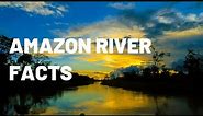 Amazing Amazon River Adventure for Kids | Exploring the Wildlife, Culture and More!