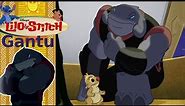 Lilo and Stitch - Captain Gantu | Finding All the Cousins