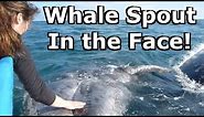Whale Spout Shot in the Face! Touching Cute Baby Whales in the Wild