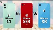 iPhone SE 3 2022 VS iPhone 11 VS iPhone XR
