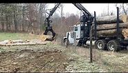 Hauling logs with a knuckle boom (HUGE LOAD)