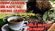 Dumi ng Musang Pinakamahal Na Kape Sa Buong Mundo | Alamid, Musang, Civet coffee