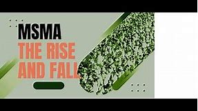 MSMA: The Rise, Fall & The Alternatives