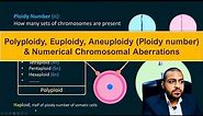 Polyploidy, Euploidy, Aneuploidy (Ploidy number) & Numerical Chromosomal Aberrations