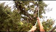 Tree climbing - grappling hook HD
