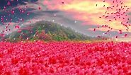 Red flowers stage photography background flowers video background