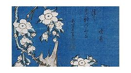 Bullfinch and Weeping Cherry Blossoms from Serie 'Flowers and Birds' | Hokusai | Painting Reproduction