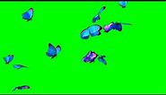 Butterflies animation green screen | Butterfly animation | free green screen
