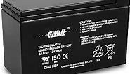 Casil 12 Volt 8 Amp Goldtop GT12080-HG Battery Verizon Fios 12v 8ah AGM Battery F2 CA1280 (1 Pack)