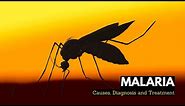 What is Malaria, Causes, Signs and Symptoms, Diagnosis and Treatment.
