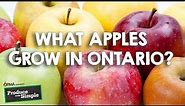 Apple Varieties of Ontario