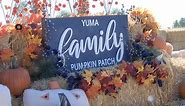 Yuma Family Pumpkin Patch open for the season - KYMA