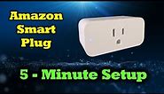 Amazon Smart Plug - Complete Review & Setup