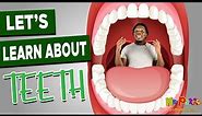 Learn about Teeth for Kids | Dental Hygiene for Kids