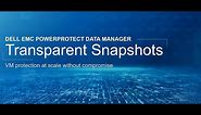 Dell EMC PowerProtect Transparent Snapshots