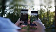 iPhone XS vs Pixel 2 XL 相机对比（转载）
