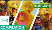 Sesame Street: The Best of Big Bird Compilation | 1 hour!