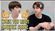 What Happens When You Leave Jinkook Alone