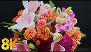 Amazing Flowers 8K ULTRA HD - Relaxing Screensaver - 10 HOURS Peaceful Piano Music - Part #2