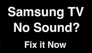 Samsung TV No Sound - Fix it Now