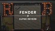 Fender Super Reverb | Reverb Demo Video