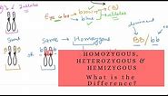 Homozygous, Heterozygous and Hemizygous - What is the Difference?