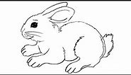 How to draw a rabbit || Rabbit outline drawing for beginners ||Rabbit drawing for kids