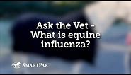 Ask the Vet - What is equine influenza?
