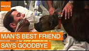 Dog's Final Goodbye at Owner's Hospital Bedside