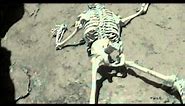 The Lost Skeleton of Cadavra - Rock climbing