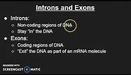 Introns and Exons