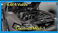 Cammed 4v 4.6l Ford Mustang Mach 1 on E85 | Dyno Review