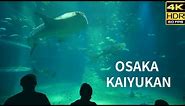 OSAKA JAPAN/ Walking Tour in Kaiyukan Aquarium 2024. [4K HDR]