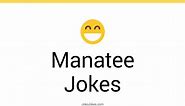 37  Manatee Jokes And Funny Puns - JokoJokes