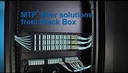 MTP Connector Rackmount Fiber Solutions | Black Box®