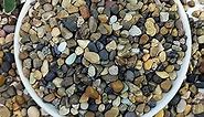 YISZM 20lbs Natural River Rocks, 1/4" Aquarium Gravel Small Rocks for Plants Pea Gravel for Fish Tank, Decorative Pebbles for Gardening, Flower Pots, Vase Fillers, Indoor Water Fountains, Landscaping