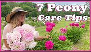 7 Peony Care Tips