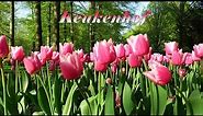 Keukenhof 2018 - Beautiful flowers in the most famous spring garden in the world