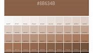 Pantone 876 C Color | Hex color Code #8B634B  information | Hex | Rgb | Pantone