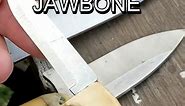 Raccoon Jawbone Knife Handle