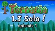 Terraria 1.3 SOLO - Episode 1 "Giant Elf Tree!" (Gameplay / Playthrough)