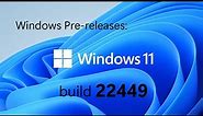 Windows Pre-releases: Windows 11 build 22449
