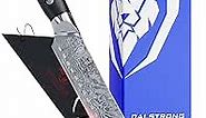 DALSTRONG Butcher Knife - 8 inch - Shogun Series ELITE - Japanese AUS-10V Super Steel - G10 Handle - Vacuum Treated - Meat, Kitchen Slicer - Razor Sharp Breaking Knife - BBQ Knife - Sheath Included