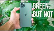 iPhone 11 Midnight Green Color - 4 MINUTE REVIEW & Color Comparison!