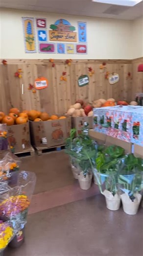 These Korean Short Ribs from Trader Joe’s are chef’s kiss 🤌 If you know, you know. #tradersjoe #dinnergoals #newrecipe #houstoneats #newrecipealert | Mariela Mendoza