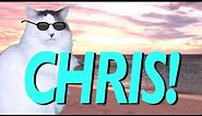 HAPPY BIRTHDAY CHRIS! - EPIC CAT Happy Birthday Song