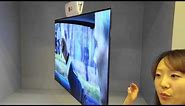 LG 55" Dual Sided TV at CES 2016