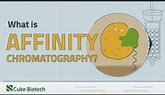 Affinity Chromatography Explained