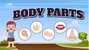 Interactive Body Parts Learning for Preschoolers: A Fun and Engaging Way to Learn