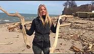 Turning Driftwood Into Wall Art - Designing For Wellness - Susie Frazier